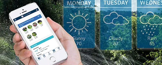sMART-tIMER-controllers-for-sprinklers-in-charlotte sMART-tIMER-controllers-for-sprinklers-in-charlotte